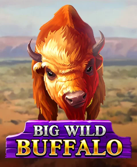 Spill Big Wild Buffalo pa Play Amo Casino